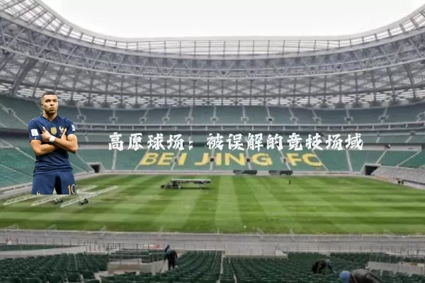高原球场:被误解的竞技场域